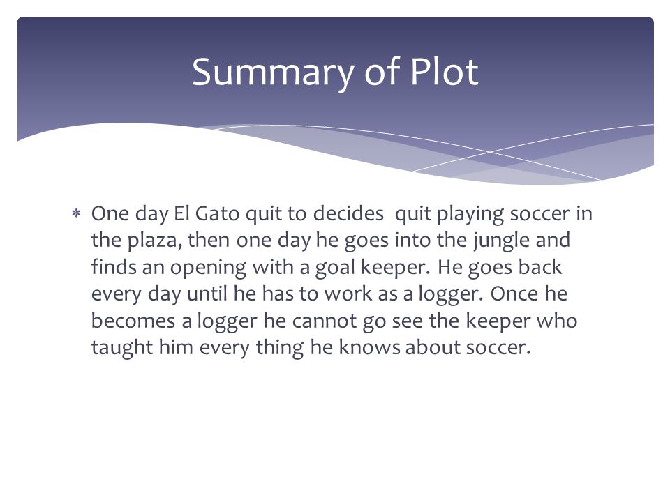  One day El Gato quit to decides quit playing soccer in the plaza, then one day he goes into the jungle and finds an opening with a goal keeper.