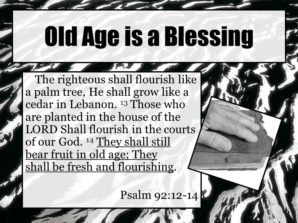 Old Age is a Blessing The righteous shall flourish like a palm tree, He shall grow like a cedar in Lebanon.