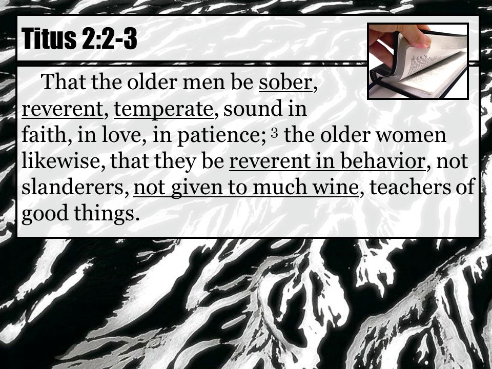 That the older men be sober, reverent, temperate, sound in faith, in love, in patience; 3 the older women likewise, that they be reverent in behavior, not slanderers, not given to much wine, teachers of good things.