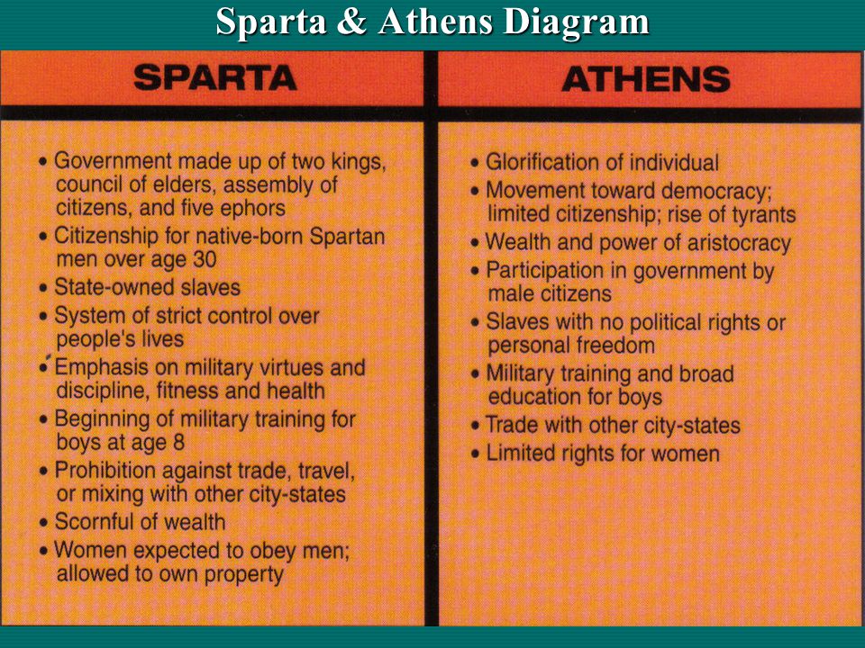 polis of sparta essay polis of sparta essay