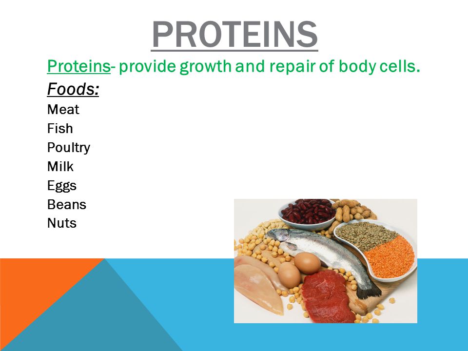 PROTEINS Proteins- provide growth and repair of body cells.
