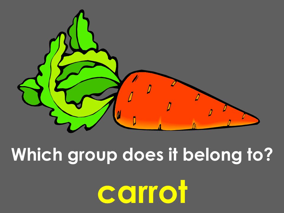 carrot Which group does it belong to