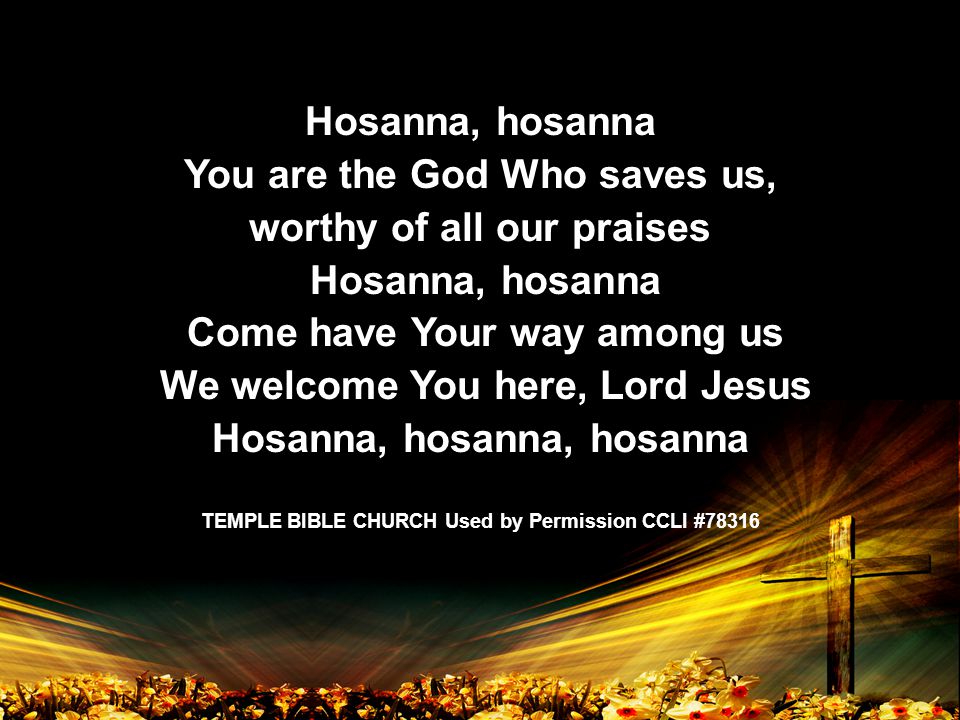 Hosanna, hosanna You are the God Who saves us, worthy of all our praises Hosanna, hosanna Come have Your way among us We welcome You here, Lord Jesus Hosanna, hosanna, hosanna TEMPLE BIBLE CHURCH Used by Permission CCLI #78316
