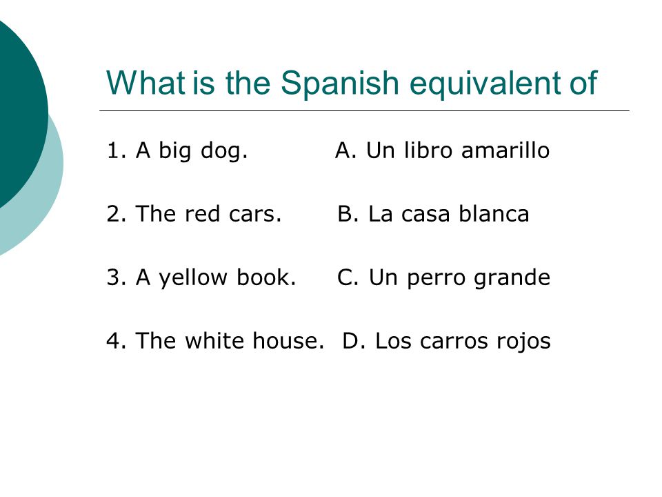 What is the Spanish equivalent of 1. A big dog. A.