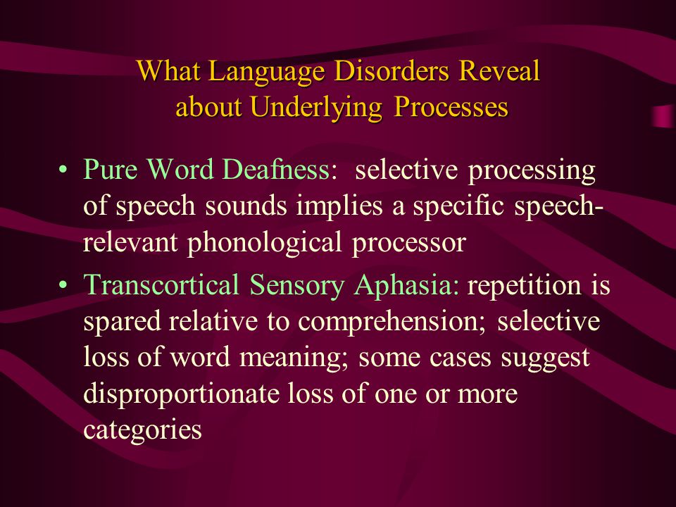 What Language Disorders Reveal about Underlying Processes Pure Word Deafness: selective processing of speech sounds implies a specific speech- relevant phonological processor Transcortical Sensory Aphasia: repetition is spared relative to comprehension; selective loss of word meaning; some cases suggest disproportionate loss of one or more categories