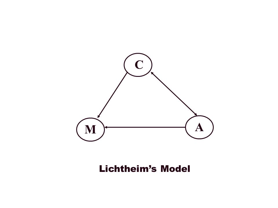 C M A Lichtheim’s Model