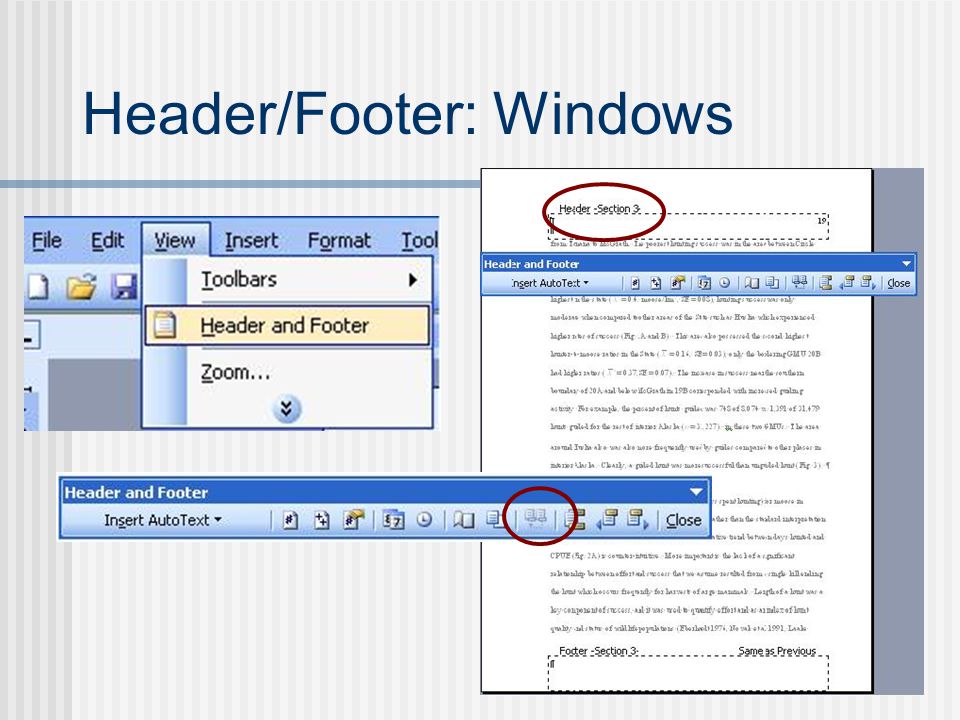 Header/Footer: Windows