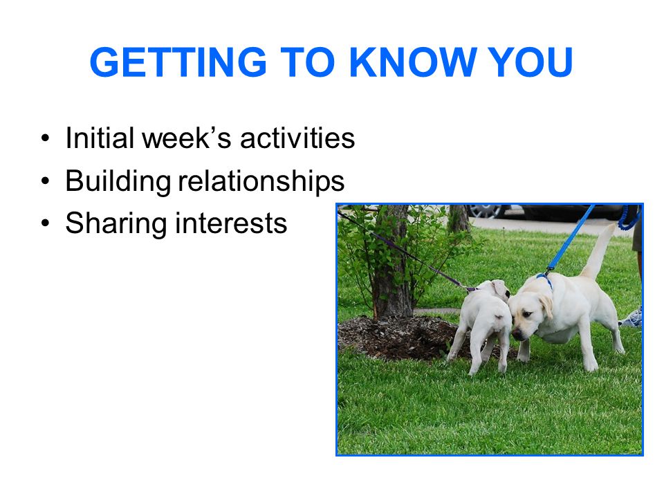 GETTING TO KNOW YOU Initial week’s activities Building relationships Sharing interests