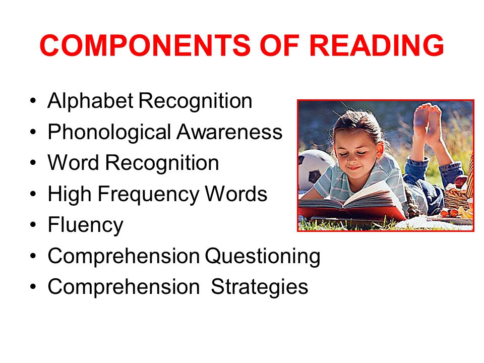 COMPONENTS OF READING Alphabet Recognition Phonological Awareness Word Recognition High Frequency Words Fluency Comprehension Questioning Comprehension Strategies