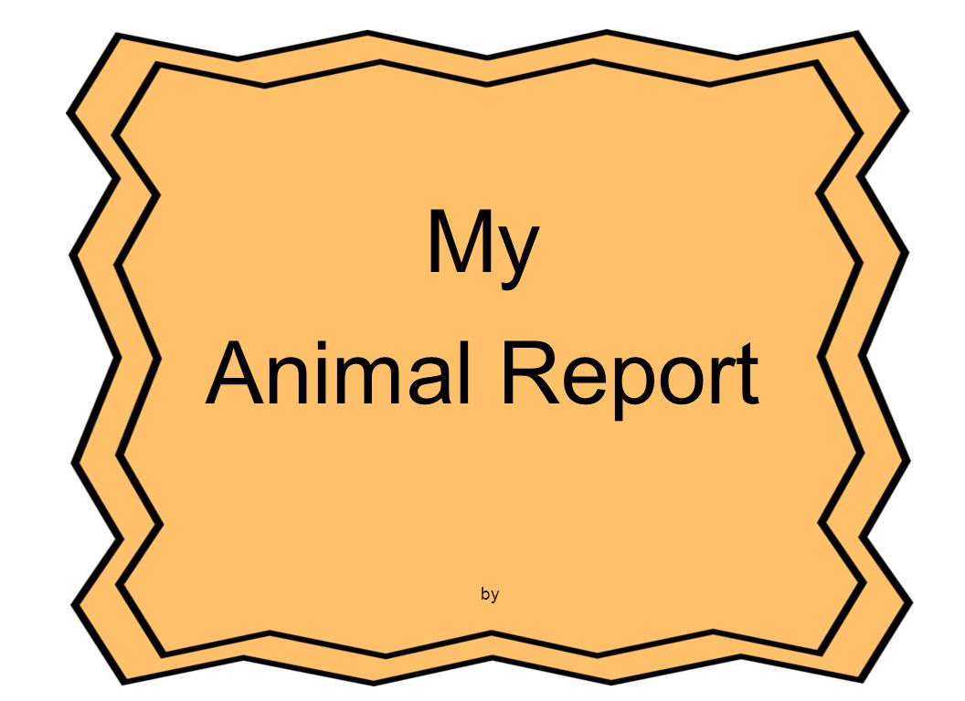My Animal Report by
