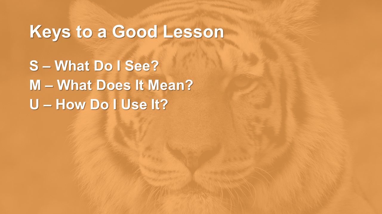 Keys to a Good Lesson S – What Do I See M – What Does It Mean U – How Do I Use It