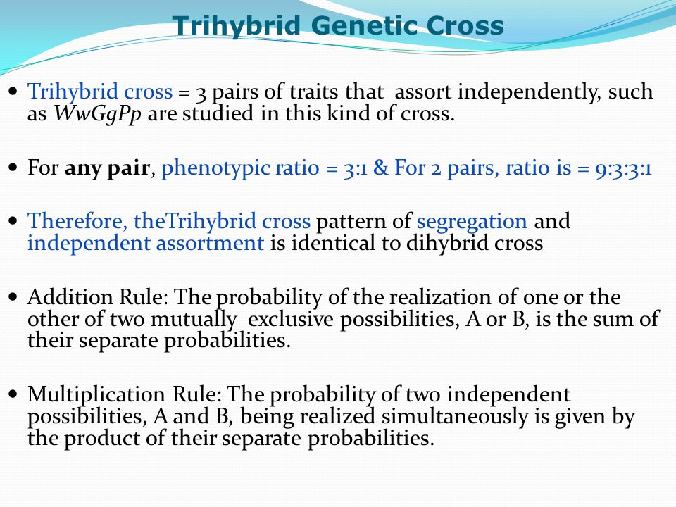 trihybrid cross