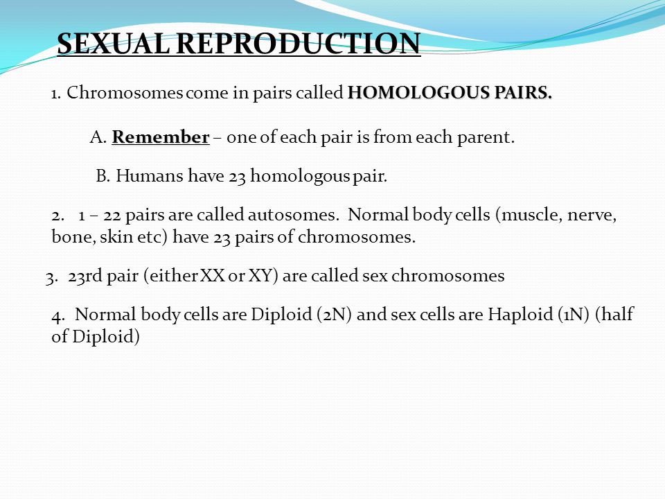 Worksheets Mendel And Meiosis Worksheet Answers meiosis worksheet answers delibertad key