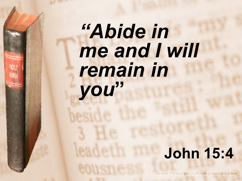 John 15:4 Abide in me and I will remain in you