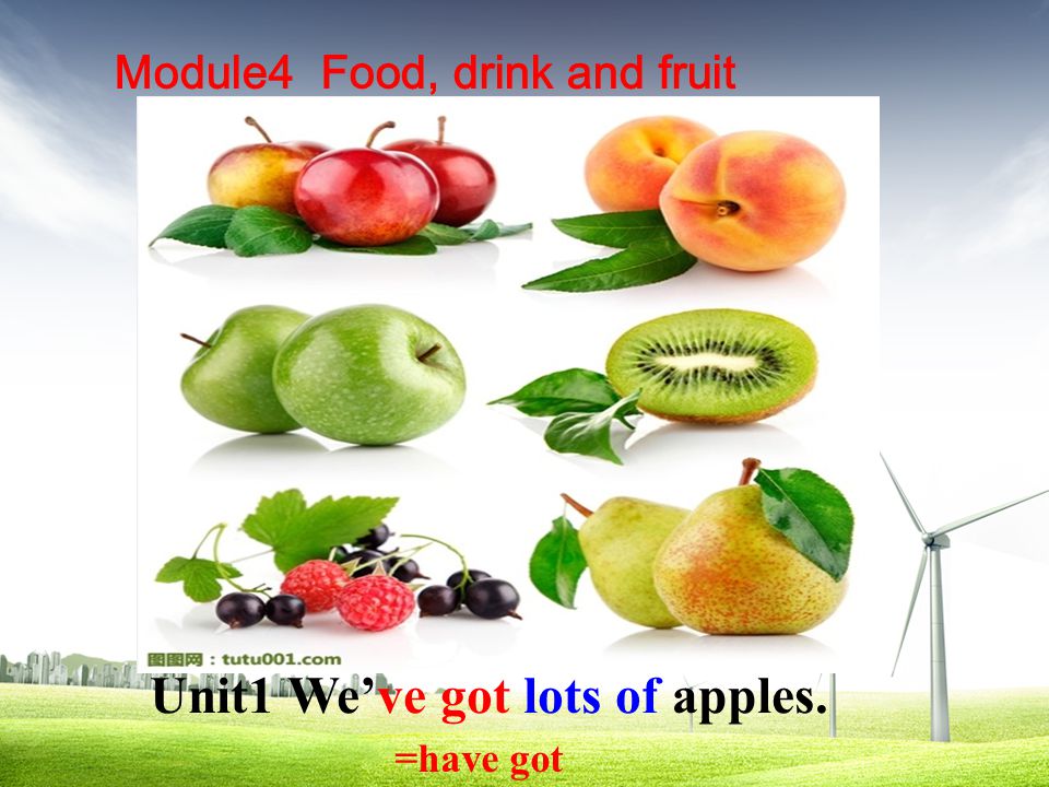 Module4 Food, drink and fruit Unit1 We’ve got lots of apples. =have got