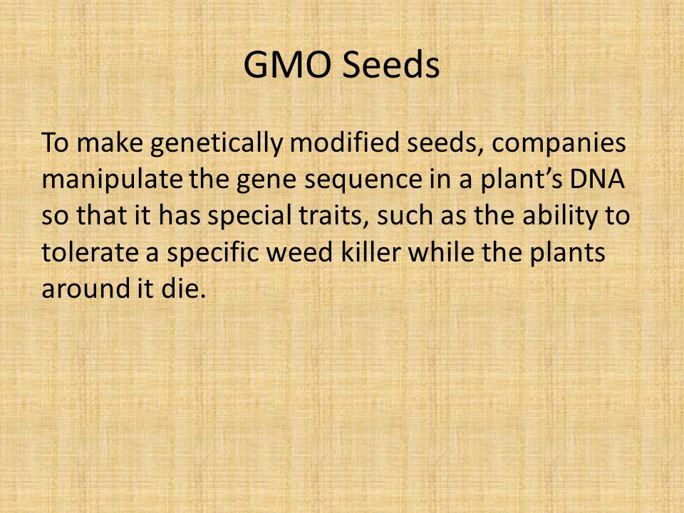 GMO Seeds To make genetically modified seeds, companies manipulate the gene sequence in a plant’s DNA so that it has special traits, such as the ability to tolerate a specific weed killer while the plants around it die.