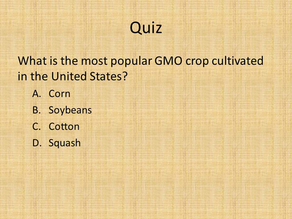 Quiz What is the most popular GMO crop cultivated in the United States.