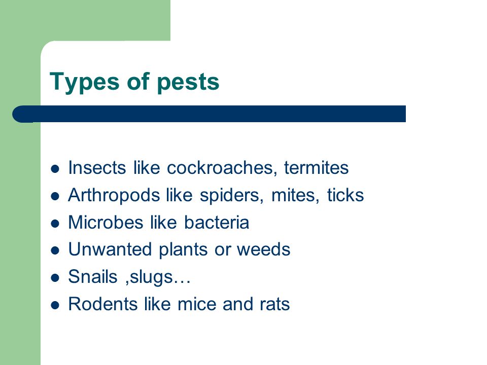 Types of pests Insects like cockroaches, termites Arthropods like spiders, mites, ticks Microbes like bacteria Unwanted plants or weeds Snails,slugs… Rodents like mice and rats