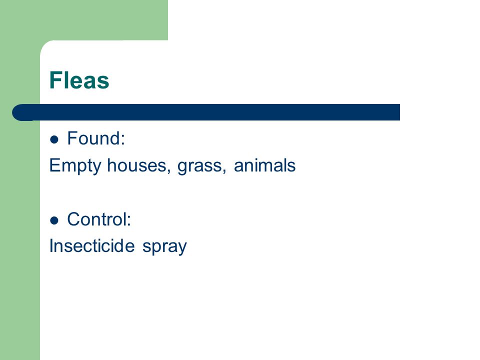 Fleas Found: Empty houses, grass, animals Control: Insecticide spray