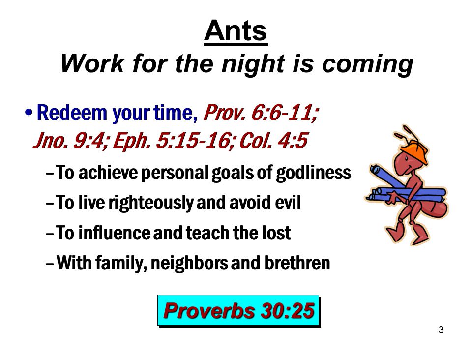 3 Ants Work for the night is coming Redeem your time, Prov.