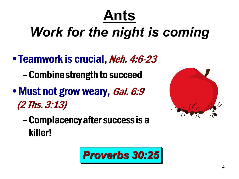 4 Ants Work for the night is coming Proverbs 30:25 Teamwork is crucial, Neh.