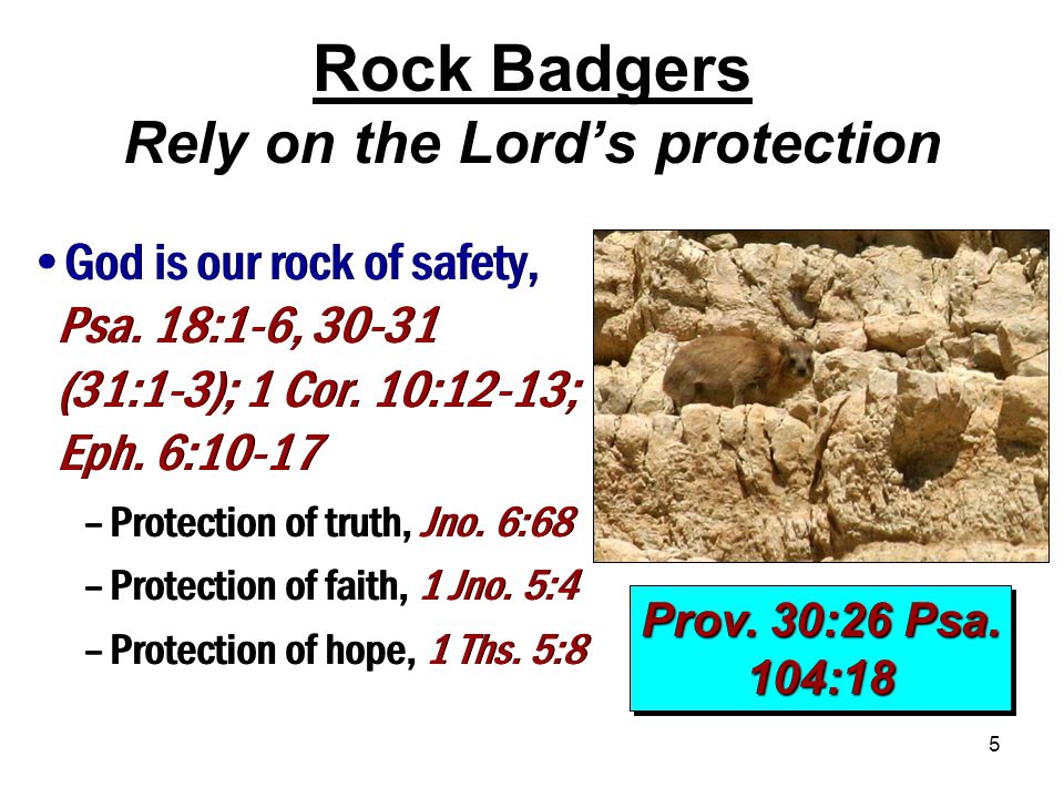 5 Rock Badgers Rely on the Lord’s protection Prov.