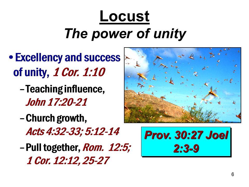 6 Locust The power of unity Prov. 30:27 Joel 2:3-9 Excellency and success of unity, 1 Cor.
