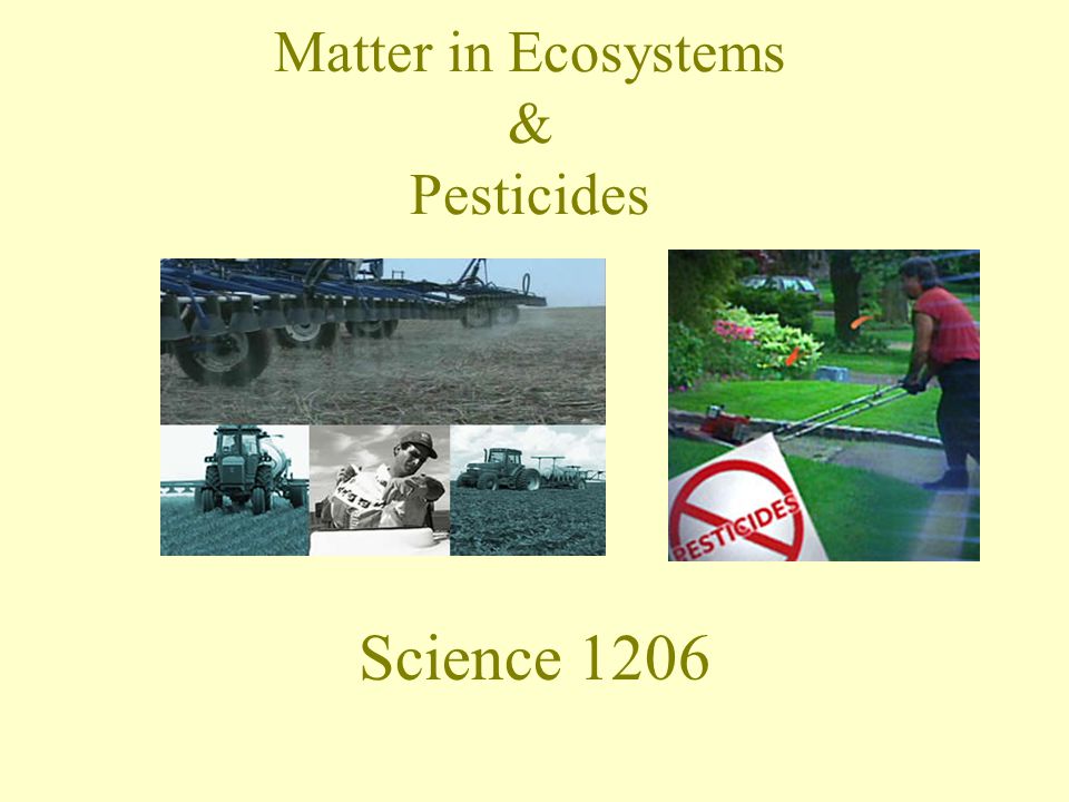 Matter in Ecosystems & Pesticides Science 1206