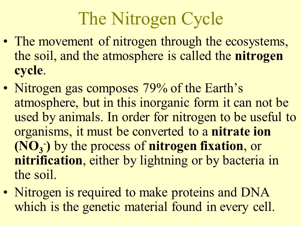 The Nitrogen Cycle The movement of nitrogen through the ecosystems, the soil, and the atmosphere is called the nitrogen cycle.