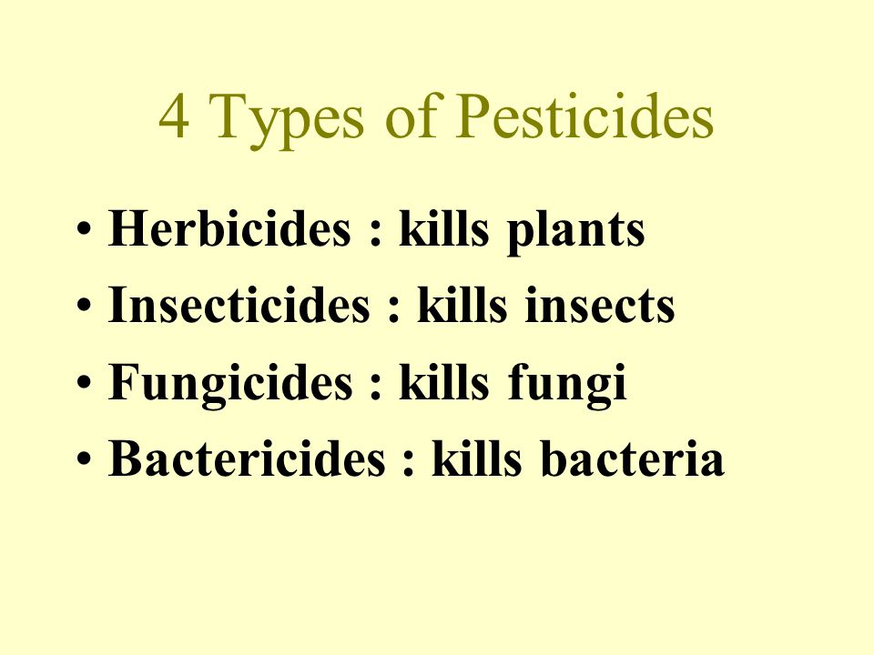 4 Types of Pesticides Herbicides : kills plants Insecticides : kills insects Fungicides : kills fungi Bactericides : kills bacteria