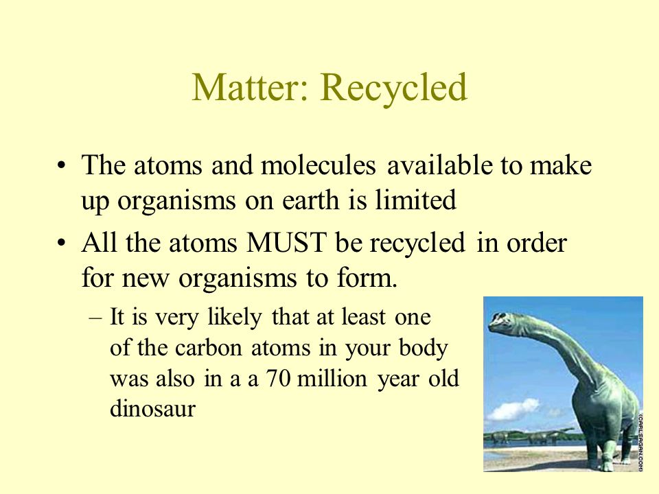Matter: Recycled The atoms and molecules available to make up organisms on earth is limited All the atoms MUST be recycled in order for new organisms to form.