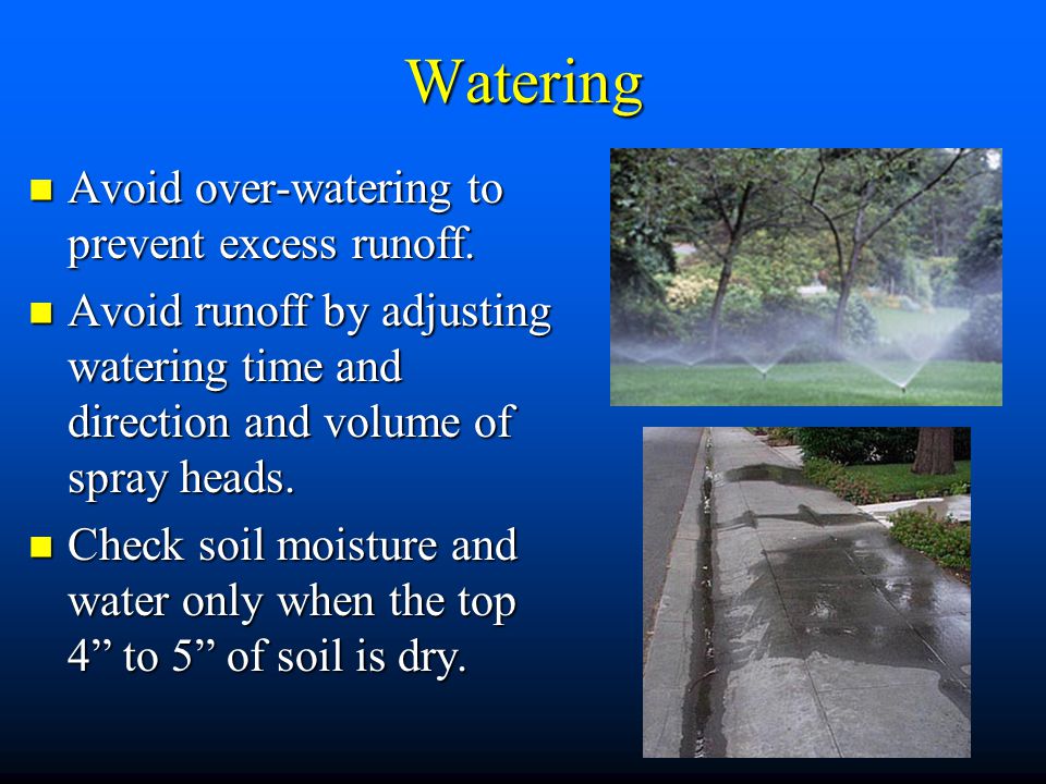 Watering Avoid over-watering to prevent excess runoff.