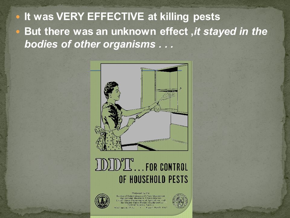 It was VERY EFFECTIVE at killing pests But there was an unknown effect,it stayed in the bodies of other organisms...