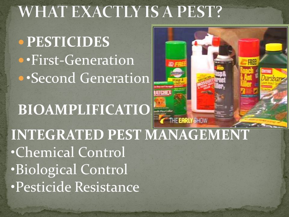 PESTICIDES First-Generation Second Generation BIOAMPLIFICATION INTEGRATED PEST MANAGEMENT Chemical Control Biological Control Pesticide Resistance