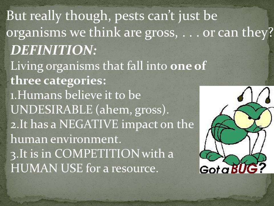 But really though, pests can’t just be organisms we think are gross,...