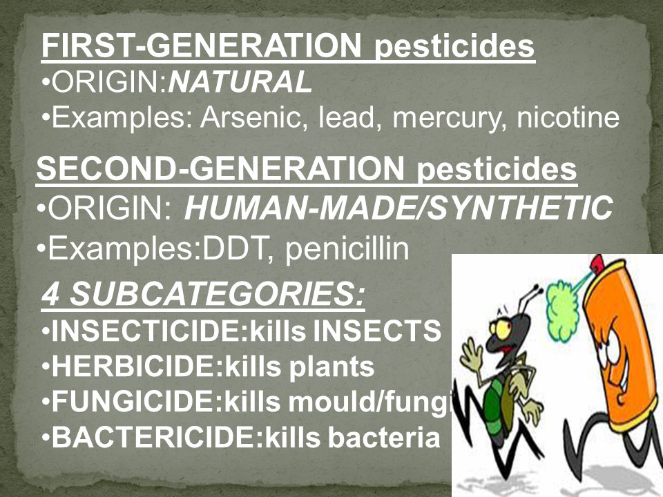 FIRST-GENERATION pesticides ORIGIN:NATURAL Examples: Arsenic, lead, mercury, nicotine SECOND-GENERATION pesticides ORIGIN: HUMAN-MADE/SYNTHETIC Examples:DDT, penicillin 4 SUBCATEGORIES: INSECTICIDE:kills INSECTS HERBICIDE:kills plants FUNGICIDE:kills mould/fungi BACTERICIDE:kills bacteria