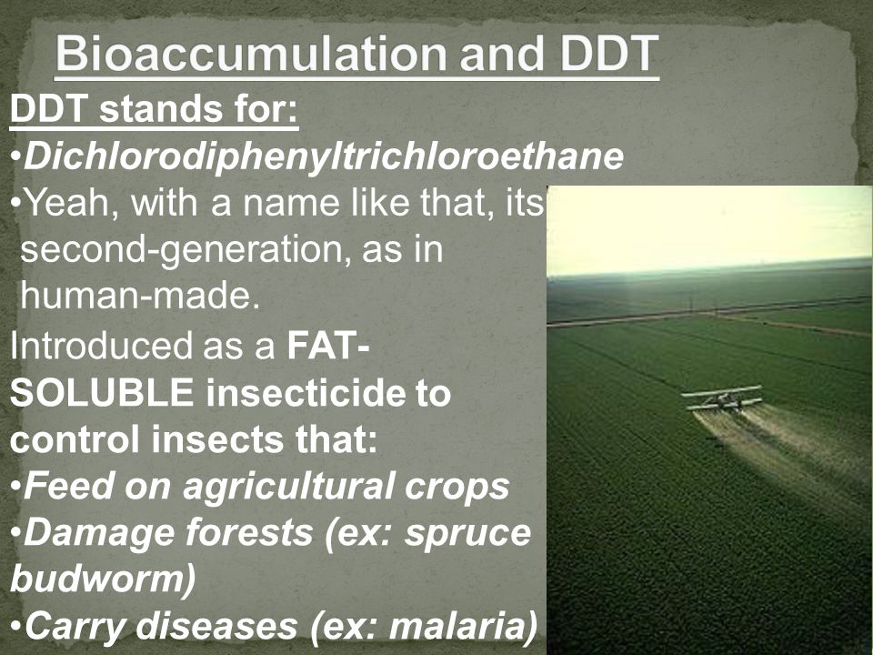 DDT stands for: Dichlorodiphenyltrichloroethane Yeah, with a name like that, its second-generation, as in human-made.