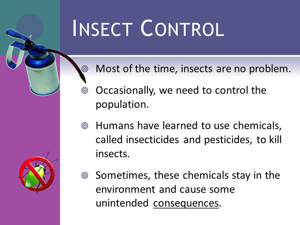 I NSECT C ONTROL  Most of the time, insects are no problem.