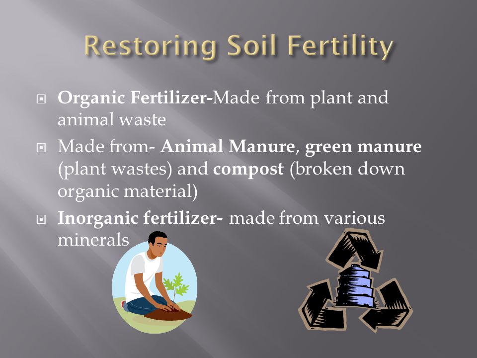  Organic Fertilizer- Made from plant and animal waste  Made from- Animal Manure, green manure (plant wastes) and compost (broken down organic material)  Inorganic fertilizer- made from various minerals