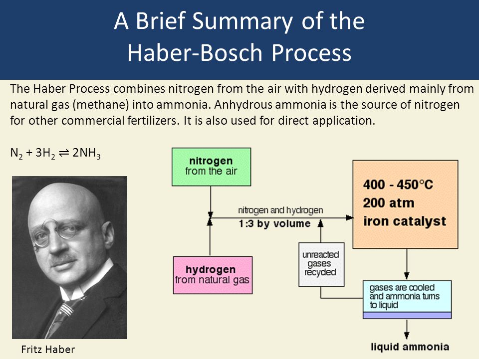 haber essay Science essays: role of a chemist in the haber process. haber essay Science essays: role of a chemist in the haber process.