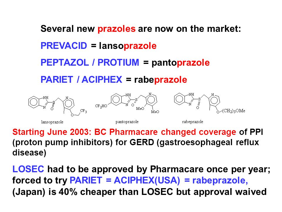 dramamine on cruise human dramamine for dogs dosage