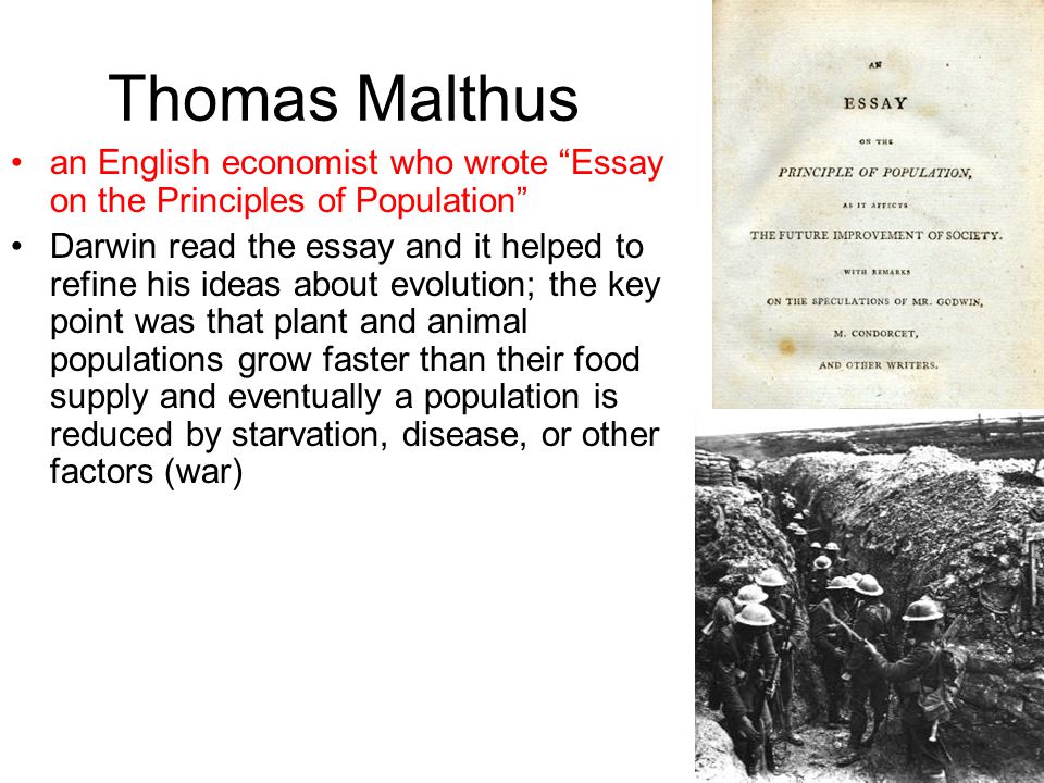evolution essay ideas Evolutionary biology term paper topics evidence of co-evolution bacterial symbionts plant/animal fungal symbionts evidence for the evolution of developmental pathways. evolution essay ideas Evolutionary biology term paper topics evidence of co-evolution bacterial symbionts plant/animal fungal symbionts evidence for the evolution of developmental pathways.