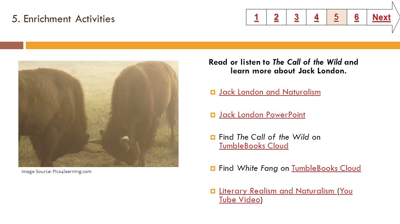 5. Enrichment Activities Read or listen to The Call of the Wild and learn more about Jack London.