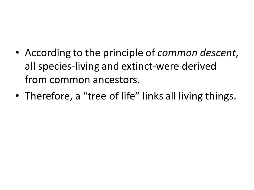 Essay On Extinct Species