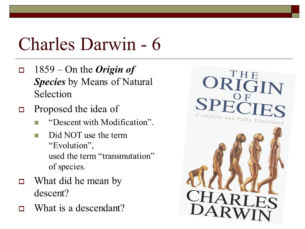 an interpretation of charles darwins theory of origin of species In biology: the theory of evolution a complete theory of evolution was not announced, however, until the publication in 1859 of charles darwin’s on the origin of species by means of natural selection or the preservation of favoured races in the struggle for life. an interpretation of charles darwins theory of origin of species In biology: the theory of evolution a complete theory of evolution was not announced, however, until the publication in 1859 of charles darwin’s on the origin of species by means of natural selection or the preservation of favoured races in the struggle for life.