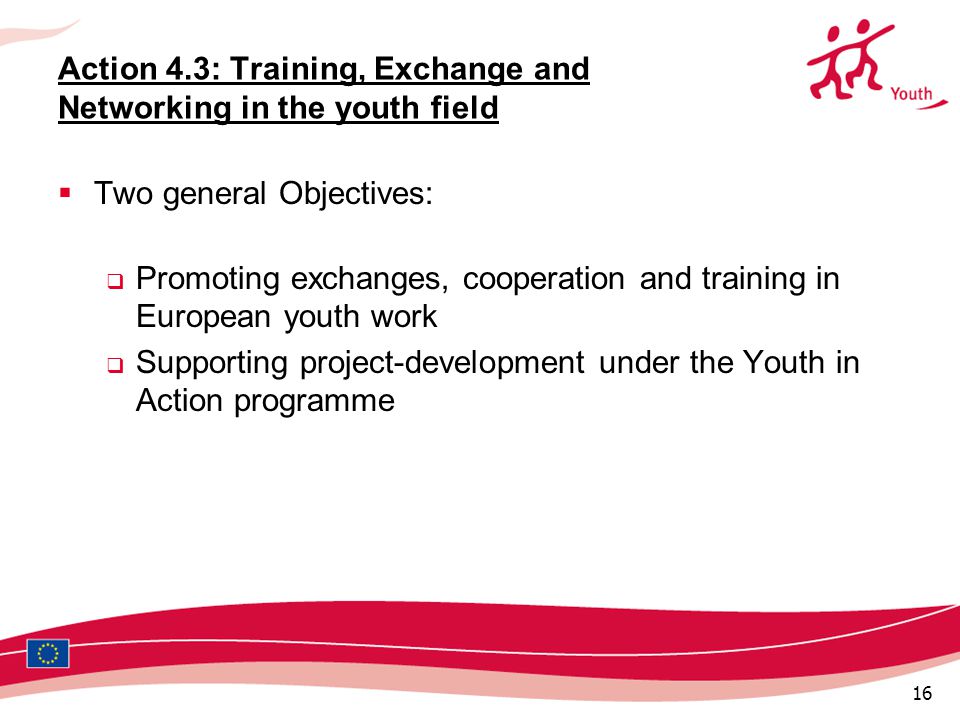 16 Action 4.3: Training, Exchange and Networking in the youth field  Two general Objectives:  Promoting exchanges, cooperation and training in European youth work  Supporting project-development under the Youth in Action programme