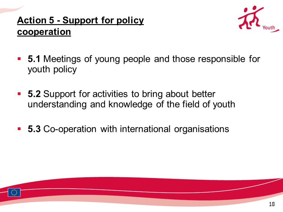 18 Action 5 - Support for policy cooperation  5.1 Meetings of young people and those responsible for youth policy  5.2 Support for activities to bring about better understanding and knowledge of the field of youth  5.3 Co-operation with international organisations