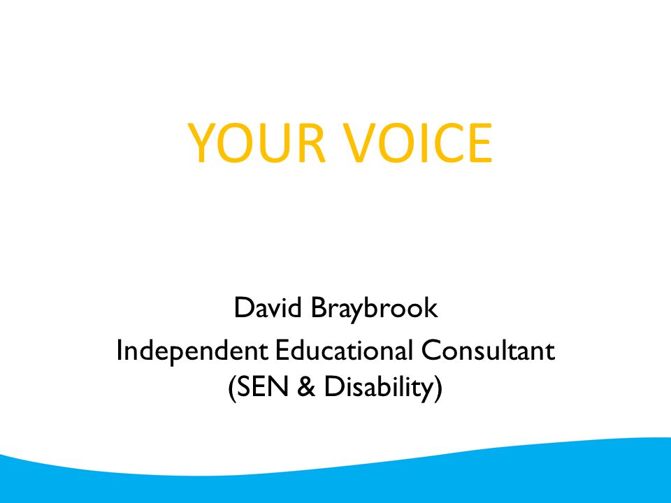 YOUR VOICE David Braybrook Independent Educational Consultant (SEN & Disability)