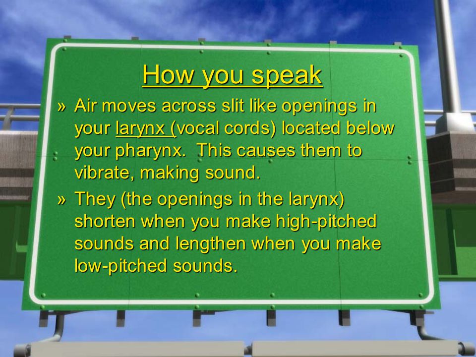 How you speak »Air moves across slit like openings in your larynx (vocal cords) located below your pharynx.