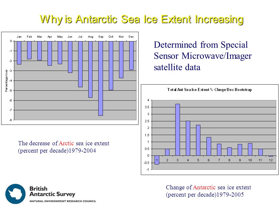 Why is Antarctic Sea Ice Extent Increasing The decrease of Arctic sea ice extent (percent per decade) Determined from Special Sensor Microwave/Imager satellite data Change of Antarctic sea ice extent (percent per decade)